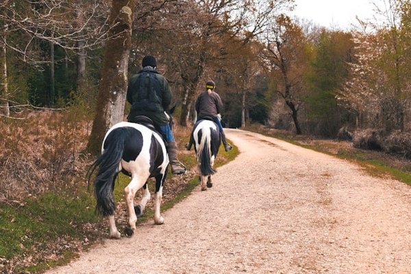 Comment préparer une randonnée équestre inoubliable : conseils et destinations de rêve