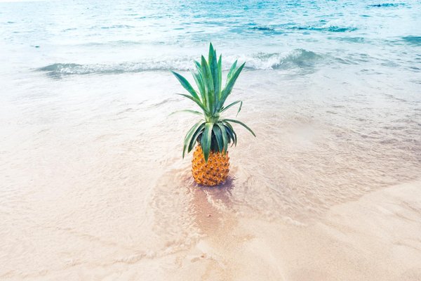 À la découverte des plages tranquilles: Les joyaux cachés pour une escapade sereine