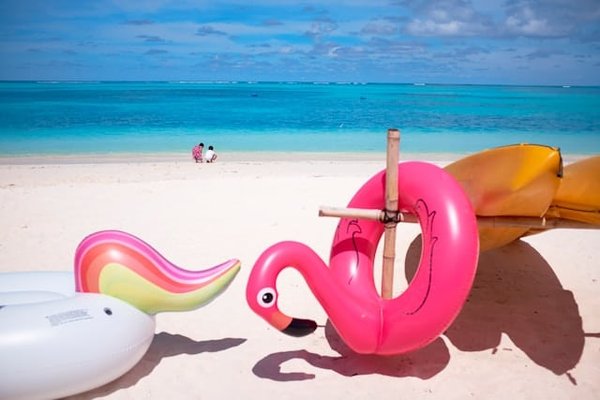 10 conseils pour profiter pleinement de vos promenades en bord de mer